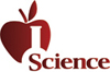 Education Prize Logo